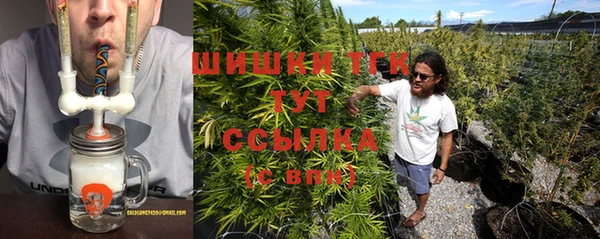 прущий лед Алзамай