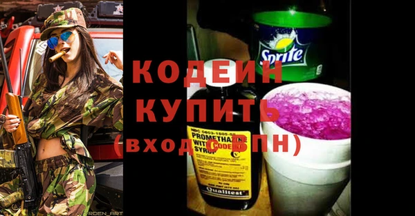 прущий лед Алзамай
