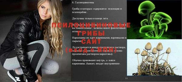 спиды Алексеевка