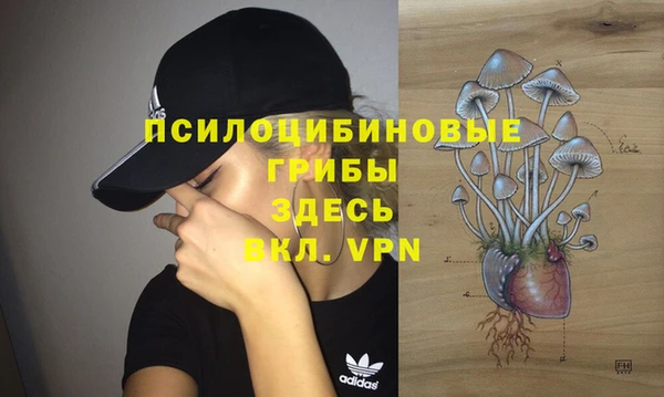 прущий лед Алзамай