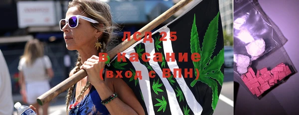 прущий лед Алзамай