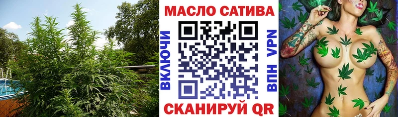 купить   Бердск  маркетплейс официальный сайт  ТГК вейп с тгк 