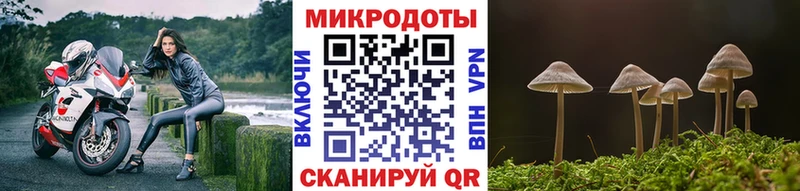 Галлюциногенные грибы прущие грибы  darknet формула  Бердск 